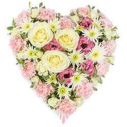 A lush, heart-shaped floral arrangement appears almost to float against a spotless white background, its colours glowing softly, as if ready to be carried from a North Watford florist to a quiet memorial service. The design is rich and symmetrical, built from an abundance of fresh blooms in gentle pinks, creamy whites, buttery yellows and deeper magenta tones, each flower tightly nestled so that no gaps interrupt the continuous heart outline. At the core, several large, creamy yellow roses unfurl in elegant spirals, their soft, velvety petals conveying warmth, comfort and a sense of enduring devotion. Surrounding them, layers of pastel pink carnations form the main body of the heart, their ruffled, full heads overlapping in waves that create a plush, textured surface you can almost feel under your fingertips. Here and there, crisp white spider chrysanthemums punctuate the pink, their fine, spiky petals shooting out from bright green centres like delicate fireworks, adding light, movement and contrast. Deeper magenta-pink lisianthus blooms, with their gently frilled, bell-like shapes, are tucked among the pastels to bring emotional depth and a richer note to the palette. Subtle sprigs of fresh green foliage weave between the flowers, softening transitions and giving the piece a natural, garden-like character reminiscent of walks through nearby parks in North Watford. At the lower tip of the heart, the slightest glimpse of a pale pink ribbon appears, a quiet indicator that this creation is intended as a sympathy or funeral tribute. The overall impression is one of heartfelt remembrance, a carefully crafted floral heart that expresses love, comfort and respect when words alone feel insufficient.