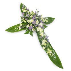 Viewed from a slightly elevated perspective against a clean white backdrop, this handcrafted sympathy cross is composed of wide, glossy tropical leaves-the kind often called Ti leaves-laid out to define the cross's arms and center with a lush, green architectural base. Crowning that verdant framework is a concentrated band of blooms focused at the centre and sweeping outward: creamy ivory lisianthus whose ruffled petals open slowly like soft linen, clusters of small white spray chrysanthemums that bring delicate texture and light, and airy sprays of lavender-tinted limonium or tiny asters that introduce a pale purple whisper across the design. The contrast between the waxy, smooth leaves and the feathery softness of the flowers creates a tactile harmony; you can almost feel the cool sheen of the foliage and the fragile give of the petals. Soft, diffused lighting accentuates veins in the leaves and the subtle gradations of cream to white in the flowers, while the faint, green-fresh aroma of the foliage lends a calming presence rather than a dominant scent. This cross is made with quiet care for services at local places of worship or memorial gatherings around Cassiobury Park and Watford High Street, offering a poised, reverent symbol of consolation. As a traditional funeral piece, it communicates sympathy, spiritual solace and the enduring comfort of shared memory, presented with respectful craftsmanship suitable for North Watford tributes.