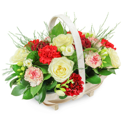 A serene funeral flower basket sits quietly against a clean white backdrop, evoking gentle comfort for a North Watford service or home tribute. The arrangement is carefully gathered in a light-coloured wooden basket, its oblong shape, slender slats, and small raised feet giving it a refined yet natural character. A pale, curved handle arches overhead, framing a dome of flowers that seems to spill over the rim in a soft wave of colour. At the heart of the display, creamy white roses are fully open, their layered petals unfolding like a silent embrace, symbolising purity and remembrance. Around them, deep red carnations cluster in generous groups, their plush, frilled petals introducing warmth and depth, while lighter pink and bi-coloured carnations, gently streaked with red, bring a soothing transition between the tones. Slender stems of small white blossoms, reminiscent of freesias, weave delicately among the larger flowers, adding a sense of breath and space, like pauses in a eulogy. Lush green foliage-broad, glossy leaves and airy fern-like fronds-creates a rich foundation and frames the blooms, lending both structure and softness. The arrangement is dense yet balanced, with no harsh edges, conveying a feeling of completeness suitable for a final farewell at a crematorium chapel or a family gathering near North Watford's residential streets. Imagined in person, there would be the gentle scent of roses and greenery, a subtle, respectful presence rather than an overwhelming perfume. This thoughtful mix of red, white, and pink flowers offers a dignified way to honour a life and express heartfelt condolences.