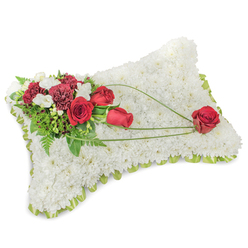 A carefully composed funeral pillow shaped as a gentle rectangle, entirely cloaked with tiny, pristine white chrysanthemum heads that form a soft, inviting surface and suggest peace and repose under soft daylight. Along the slightly raised edge a pale green satin ribbon peeks through the blooms, providing a subtle frame and a touch of freshness. At the upper-left corner an elegant spray gathers several deep red roses - a mix of buds and open blooms - paired with deep burgundy carnations and clusters of small, creamy-white accent flowers, perhaps freesias or small spray chrysanthemums; together they create a layered, textural contrast against the white field. Lush greenery - including slender fern-like fronds and broader glossy leaves - cushions the arrangement and enhances the rich reds. From this main cluster, three slender arcs of bright green bear-grass or decorative foliage extend diagonally across the chrysanthemum surface, their gentle sweep guiding the eye to a single, prominent red rose positioned on the lower-right corner, as if cradled by the curving stems. The overall scent is understated: a cool floral freshness with the warm, velvety trace of rose. Prepared with the quiet care typical of local florists who serve North Watford - from Vicarage Road to Watford Junction - this memorial cushion offers a dignified message of love and remembrance. Flower Delivery North Watford often crafts this classic pillow for nearby services, delivering a composed, comforting tribute that reads both timeless and personal.