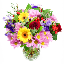 A tall, abundant bouquet sits proudly in a simple clear glass vase, photographed against a crisp white backdrop so that every colour and texture stands out. At its centre, lush deep red roses unfurl in layered, velvety whorls, conveying a sense of heartfelt emotion and timeless romance. Two golden yellow gerbera daisies rise near them, their dark brown-orange centres and firm, flat petals shining with a cheerful brightness that recalls a sunny morning over North Watford's quiet residential streets. Encircling these stars is a generous collar of pink chrysanthemums or daisies, each bloom composed of slender petals radiating from soft yellow eyes, building a feeling of fullness and comfort, almost like a floral cushion. Threaded between the pinks, purple and lavender lisianthus add their bell-shaped, slightly ruffled blossoms, lending a cool, refined elegance and an almost silken texture to the design. Scattered throughout the bouquet, glossy red hypericum berries cluster on thin stems, catching the light with a festive glimmer. Various greens-broad, dark leaves and lighter, more delicate sprigs-provide a natural frame, echoing the foliage you might see in nearby North Watford gardens and giving the bouquet a freshly gathered look. The clear vase reveals straight, neatly cut stems and clean water, underlining the professional craftsmanship behind the arrangement and grounding the exuberant top in something quietly ordered. This is the kind of mixed-colour display that feels equally at home brightening a living room near Bushey Mill Lane or gracing a work celebration, radiating positivity, gratitude, and a sense of shared occasion with every carefully chosen stem.