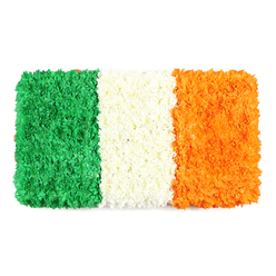 From a quiet window in North Watford, this flag-inspired tribute unfolds with weight and dignity. Green, white, and orange blooms are arranged in crisp, unwavering vertical stripes-bold and instantly recognisable in any setting. The green stripe is a plush carpet of small blossoms, the white band in the middle comes together in a soft, cloud-like weave, and the orange stripe on the right repeats the same tactile texture, with tiny orange flowers catching the light as if aflame with warmth.

The scent is gentle and clean, a subtle whisper of fresh petals that settles close as you lean in. Light plays across the surface, turning each stripe into a small landscape of colour and texture, a living symbol rather than a mere decoration. The piece feels dense, almost sculptural, inviting a slow, contemplative glance and a memory of gatherings along North Watford's parks and markets.

Our North Watford studio crafts these pieces with the care of a neighbour who understands the town's rhythms, whether for Remembrance services, community events, or personal tributes. They are available for same-day delivery across North Watford, ensuring the message arrives in time for gatherings at Cassiobury Park, the High Street markets, or the town's welcoming doorsteps.