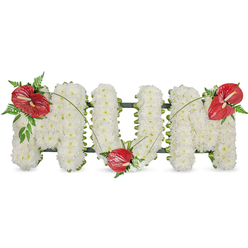 This floral composition reads as a tender sentence of remembrance: the word MUM sculpted in full, rounded capital letters entirely covered in small, immaculate white spray chrysanthemums. Each bloom is chosen for its fullness, the overall surface appearing soft and almost cloudlike - a quiet, cushioned expanse that calms the eye and suggests purity and peace. The dense white is supported by a barely visible dark green structural backing that shows as narrow outlines, giving the freestanding letters solidity without distracting from the blooms. To break the serene palette and introduce a note of passionate warmth, three glossy red anthuriums punctuate the design: one placed on the upper left curve of the first M, another tucked into the lower curve of the U, and the third adorning the upper right of the final M. Their smooth, waxy spathes and pale yellow spadices contrast in both texture and colour, while small sprays of fern and broader green foliage nestle around each anthurium, adding depth and a woodland freshness. Long, arching blades of grass sweep across the white letters, visually linking the red focal points and creating a gentle sense of movement. Bathed in soft daylight, the arrangement exudes quiet reflection - an arrangement well-suited to a funeral service or memorial event. As a local touch, this style is often chosen by families around Cassiobury Park and the High Street when they want a traditional, deeply personal tribute that reads clearly from a distance and comforts those who gather.