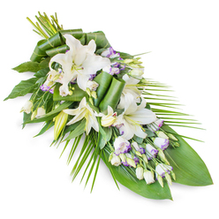 A serene sympathy spray of white lilies and lisianthus lies diagonally across a spotless white background, captured as if just finished by a careful florist preparing flowers for a North Watford memorial service. At the fuller end of the teardrop design, several oriental lilies open in generous, trumpet-shaped blooms, their white petals smooth and slightly luminous, with soft yellow-green stamens nestled at the centre like a quiet heartbeat. Between these stately flowers are clusters of lisianthus, their smaller, bell-like blossoms offering a tender contrast. Many of the lisianthus petals are edged with a whisper of lavender and fine purple veining, a detail that brings to mind the gentle dusk light over nearby Cassiobury Park. Tightly closed buds are scattered throughout, adding texture and the suggestion of life continuing onward. The foliage base is lush and thoughtfully layered: broad, glossy leaves provide depth and shadow, some meticulously rolled into sculptural curls that arch above the flowers like protective arms. Slim, elongated fronds sweep outward and down, especially towards the pointed tip of the spray, giving the whole piece a flowing, almost river-like movement that feels fitting for a farewell service in the quiet streets around St Albans Road or North Watford Station. The palette of pure white blooms, soft lavender hints, and deep green leaves creates a cool, calming impression, ideal for expressing respect, condolences, and support when words alone are not enough. This graceful floral tribute captures the stillness and dignity of a final goodbye while remaining comforting and beautifully understated.