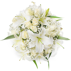Picture a bouquet so serene it seems to capture a hush of morning - precisely arranged and photographed from above on a spotless white surface. At its heart are several elegant white lilies, their trumpet-shaped petals unfurling in glossy waves, centres tipped with pale green stamens that add a whisper of colour. Nestled around these lilies are numerous cream roses, mostly held in tight buds or gently opening to reveal layered, velvety petals; their soft ivory tones blend seamlessly with the lilies' pristine white. Interspersed among the larger blooms are delicate sprays of white Baby's Breath (Gypsophila), whose minute clustered flowers create a soft, cloud-like matrix that gives the bouquet an airy, romantic quality. Small, vivid green leaves peek from beneath the blooms along the circumference, framing the composition and lending a crisp contrast to the monochrome palette. The bouquet's dense, circular arrangement and immaculate finish suggest bridal elegance - perfectly suited for a ceremony at a nearby North Watford chapel or as a thoughtful anniversary gift delivered locally. The imagined scent is gentle and layered: sweet, sunny lilies tempered by the faintly spicy, heady scent of cream roses and the barely-there green note of foliage. This top-down view celebrates both technical skill and emotional nuance, showing how simple materials - white oriental lilies, ivory roses, gypsophila, and fresh greenery - combine to create a timeless statement of purity, hope, and quiet celebration for special moments across the area.