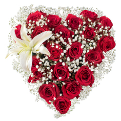 Framed by a clean white backdrop, this heart-shaped bouquet is a classic study in contrast and care: a dense field of deep crimson roses forms the rounded body of the heart, each rose showing layered, velvety petals in varying stages from tight buds to luxuriously open blossoms. Sprays of tiny white baby's breath (Gypsophila) are generously threaded among the roses, softening the mass with a misty halo that lifts the composition and adds delicate, starry points of light. Nestled in the upper-left arc of the heart, a single immaculate white lily unfurls its wide, smooth petals, pale cream at the centre and punctuated by warm yellow stamens that give the arrangement a gentle focal accent. The lighting is even and neutral, allowing textures - the satin rose petals, airy gypsophila clouds, and the lily's sculptural form - to read clearly and invite touch.

Prepared with the precision of an experienced florist, this bouquet expresses romance, sympathy, or a formal declaration of affection. As someone who works every week serving neighbours from North Watford to the streets around Watford Junction and Cassiobury, I imagine delivering this to a home after a quiet walk in the park. Flower Delivery North Watford carefully composes pieces like this for anniversaries, Valentine's Day, or occasions where a heartfelt, refined statement is needed, and we offer local delivery across North Watford for same-day requests when blooms are freshest.