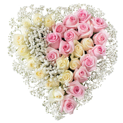 A serene, heart-shaped floral tribute fills the frame, crafted with the kind of precision and empathy you might expect from a long-established North Watford florist. Set against a bright white background, the heart is clearly divided down the middle, echoing the idea of two lives forever intertwined. On the left side, rows of closely packed creamy white and pale lemon roses open in soft spirals, their velvety petals suggesting peace, innocence, and a gentle farewell. On the right, a mirror image of medium pink roses brings warmth and tenderness, each flower fully formed, with curled outer petals that hint at memories gathered over a lifetime. Threads of snowy white baby's breath run throughout the entire design, drifting between the roses and tracing the outline of the heart, like a veil of tiny stars softening the distinction between the two colours. The arrangement appears full and lush, every gap thoughtfully filled, creating a smooth, continuous shape that would sit beautifully on an easel at a chapel in North Watford or beside a coffin at West Herts Crematorium. The atmosphere is calm and contemplative, ideal for paying tribute to a loved one whose life blended joy and serenity, strength and gentleness. Though the setting is simple and studio-bright, you can almost imagine this heart being carried through familiar roads around North Watford, delivered quietly to a family saying their final goodbyes, a floral symbol of love that endures even in grief.