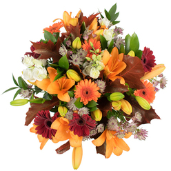 An intimately lit, overhead close-up of a lush autumn bouquet, photographed against a clean white backdrop so each colour reads vividly. At the heart rest several fully opened orange Asiatic lilies, their rich, satiny petals curling outward and announcing themselves with confident form; nearby, many small, tightly closed lily buds in pale orange and bright green promise unfolding drama. Scattered among these are bright pumpkin Gerbera daisies and their deep burgundy counterparts, each with distinct, almost velvety centers that draw the eye. Creamy white Lisianthus-soft, layered and slightly ruffled-nestle between bolder blooms, offering soft highlights that balance the palette. Delicate clusters of muted purple Astrantia lend intricate, star-like texture, their fine structure contrasting with the broader petals of the lilies and gerberas. Deep, lobed leaves in reddish-brown and maroon evoke fallen oak or maple foliage, placed deliberately to enhance the seasonal story, while fresh green foliage threads through to keep the composition lively and structured. The lighting is bright and direct, emphasizing the bouquet's freshness and the tactile sensation of each element-the silky petal edges, the sturdy gerbera centers, the brittle crunch of autumn leaves. This arrangement speaks of cozy gatherings, harvest tables, and quiet moments of gratitude; I imagine it warming a mantelpiece in a North Watford home near Cassiobury Park or greeting guests arriving from Watford High Street. Prepared with local care, Flower Delivery North Watford would recommend this design for seasonal gifts and autumnal décor that feels both abundant and handcrafted.