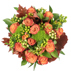 From a top-down view, this richly textured autumn bouquet presents a harmonious study in warm tones and varied surfaces, the kind of arrangement a local florist might picture while gathering foliage near Nascot Wood. At the heart are numerous large, fully bloomed roses in coral-to-orange hues; their petals move from a soft warm peach at the centre to deeper coral and russet at the edges, creating a gentle gradient that reads like a small, contained sunset. Scattered among the roses are clusters of Hypericum berries - vivid lime-green alongside pale cream-yellow - whose round, glossy beads add punctuation and visual rhythm to the design. Pockets of Green Trick dianthus, velvety and compact, give the bouquet a moss-like texture that contrasts with the smoothness of the rose petals and the firmness of the berries. Broad, shiny green leaves form the lush foundation, while darker, dried-looking leaves in reddish-brown and deep burgundy are placed to ground the colour story and reinforce a late-autumn feeling. The arrangement is densely packed yet airy at the edges, with soft shadows that reveal depth and craftsmanship under gentle studio light. The overall effect is comforting and abundant, evoking harvest warmth and quiet gratitude - a fitting choice for Thanksgiving tables, cosy living-room displays, or a heartfelt seasonal gift for someone walking home from Watford Junction. The composition reflects seasoned floral technique: balanced, textural, and emotionally resonant without fuss.