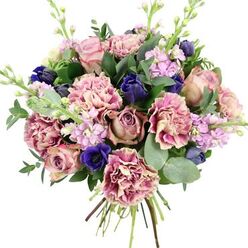 This hand-tied bouquet appears like a little piece of floral theatre set against a bright white stage, its colours and forms unfolding with quiet drama. At its centre, large garden roses in shades of blush, dusty mauve, and antique rose open generously, each layered petal catching soft light and giving the composition a deeply romantic core. Framing them are abundant carnations, their ruffled petals offering a gentle bi-colour effect: creamy pale interiors washed into deeper rose, fuchsia, and plum at the edges, which creates a sense of movement as the eye travels around the bouquet. Threaded among the pinks are deep indigo buds shaped like elegant tulips, and a single royal blue anemone with a dark, inky centre stands proudly near the base, adding a jewel-like intensity. Pale lilac and lavender stock flowers stretch upwards, their slim stems lined with many small blossoms, introducing a whisper of countryside charm reminiscent of gardens around North Watford and along nearby residential streets. A lush framework of foliage surrounds the blooms: broad, dark green leaves interlace with rounded, silvery-green eucalyptus that curves outwards, suggesting a cool, aromatic freshness. The exposed stems are neatly gathered and bound, signalling a bouquet ready to travel across North Watford for same-day delivery, perhaps to celebrate a birthday, congratulate new parents, or lift the mood of a quiet home. The overall look is polished yet soft, like a thoughtful gesture captured in petals and scent.