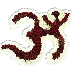 This carefully modelled floral Om rests against a stark white backdrop, its iconic silhouette rendered with exacting floral technique. The heart of the symbol-its flowing '3'-like curve, the descending S-shaped sweep, and the crescent with its bindu above-is composed of compact, deep red to maroon chrysanthemum-style blossoms whose tiny lime-green eyes peek from the centre of many florets, punctuating the dark field with lively contrast. A generous, undulating rim of small white chrysanthemums outlines the entire form; the white border reads like a halo, clarifying the negative spaces and giving the symbol a luminous edge that feels both respectful and uplifting. The texture is lush and intimate: petals layered densely to form a plush, velvety surface that you can almost feel under your fingertips, with a soft, grounding fragrance that leans toward earth and late-summer foliage. A subtle drop shadow anchors the arrangement and hints at ceremonial use-placed on a memory table, beside a meditation cushion, or at the centre of a spiritual gathering. I imagine this piece carried into a quiet chapel near North Watford station or set within a community hall off St Albans Road for a commemorative event; its colours speak of solemn devotion tempered by a hopeful, peaceful clarity. The design communicates both artistry and devotion, a floral hymn suitable for prayer, remembrance, or cultural celebration.