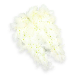 An elegant angel-wing floral tribute rests against a crisp white background, as if prepared with care for a dignified service in one of North Watford's quiet churches or local crematorium chapels. The wings are formed from a tightly packed carpet of tiny white flowers, likely delicate chrysanthemums or spray carnations, each bloom nestled closely to the next so there are no gaps, only a smooth, cloud-like surface. Hints of soft green and gentle lemon tones glow from the hearts of some petals, adding a natural depth that suggests breath and presence rather than stark absence. Flowing gently around the edges of each wing is a halo of soft white feathers, light and airy, with fine strands that appear almost translucent under the even studio lighting. These feathers curl and taper into graceful points, echoing the shape of real wings paused mid-fold, evoking the image of a guardian angel watching over loved ones from above Garston or Leavesden. The entire arrangement is framed by clean, bright light, with a faint shadow beneath that gives a subtle sense of lift, as though the wings hover slightly above the surface. The pure white palette carries a quiet message of innocence, peace, and spiritual comfort, making it a fitting tribute for a funeral, memorial, or celebration of life gathering. This is the kind of design families in North Watford turn to when they want flowers that feel both traditional and deeply personal, expressing love, remembrance, and the hope that the departed is held safely in gentle, protective arms.