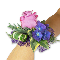 This elegant wrist corsage, photographed against a crisp white backdrop, reads like a pocket-sized bouquet meant to accompany an important evening. Anchoring the design is a generous mauve-pink rose, its petals softly graded from a pale centre to a richer magenta at the ruffled edges, exuding a faint, sweet scent that suggests freshly opened blooms. Flanking the rose are clusters of saturated indigo hydrangea, each small floret bearing a subtle, luminous blue centre that creates a velvet-like depth beneath the rose's softness. Glossy, variegated ivy leaves ripple around the main flowers with dark green centres and creamy yellow margins, lending a classic, almost heirloom feel. Slender, silvery-green leaves similar to lavender or eucalyptus rise behind the bouquet, offering an airy backdrop and a cooling herbal note that complements the floral sweetness. A boldly striped, wide leaf is skillfully twisted into a tight curl, adding a modern, architectural accent and a crisp contrast of line and pattern. Beneath everything, a dark purple, open-weave mesh lifts the flowers and forms a shadowed base, intensifying the jewel-toned palette. The corsage is pictured on a fair-skinned wrist and crafted to sit comfortably during vows, dances, or graduation ceremonies. As a North Watford florist, I sometimes deliver similar wristlets to customers near Watford High Street or Leavesden for bridesmaids and prom-goers; Flower Delivery North Watford prepares each piece with the same attention to texture and fit, ensuring the colours harmonise with eveningwear while staying fresh and balanced.