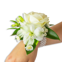 This elegant white wrist corsage is presented on a fair-skinned wrist against a neutral white backdrop so every element stands out with clarity. Central to the design is a creamy ivory rose, its petals unfolding in silky layers that glow with a soft, warm cream under studio light. Nestled beneath it, a trumpet-shaped white alstroemeria (Peruvian lily) fans its petals to reveal a delicate lime-green throat, creating a subtle focal contrast. Interwoven throughout are tiny clusters of Gypsophila-airy white clouds that lend lightness-and petite daisy-like blooms with sunny yellow centres that add a tender, cheerful accent. Small verdant buds suggest imminent growth, while several broad, glossy deep-green leaves with a smooth, waxy texture frame the cluster, providing depth and a living backdrop for the blossoms. The corsage is fastened by a refined multi-strand pearl bracelet: rows of lustrous round pearls encircle the wrist, their cool, satiny surface complementing the softness of the flowers. Breathe in imagined scents-a faint, clean floral perfume with powdery rose notes-and picture this piece worn with a suit or bridal gown for formal events or prom night. As a North Watford florist, we craft such wristlets with attention to proportion and wearability, inspired by local celebrations around Watford High Street and Cassiobury Park. Flower Delivery North Watford carefully positions each bloom so the corsage reads both classic and contemporary, perfect for those small, significant moments.