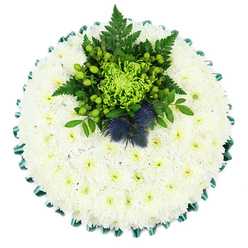 Viewed from overhead against a bright white backdrop, this circular funeral cushion feels like a tranquil, handcrafted landscape of flowers. The entire base is formed from countless tiny white chrysanthemums, meticulously arranged by a skilled North Watford florist so that no gaps break the soft, cloud-like surface. Each bloom is fully open, its petals layered like fine silk, and at the heart of every flower a subtle touch of greenish-yellow glows, hinting at life and light amid the calm. The outer rim is finished with a rich green satin ribbon, folded into gentle waves that echo the curve of the design and give the tribute an elegant, tailored outline, as if carefully prepared for a final journey through the streets around Garston, Meriden, or Leavesden. Set slightly above centre, a lush cluster of green flowers and foliage creates a vivid contrast against the white cushion. A neon-bright spider chrysanthemum reaches out with long, curling petals, while clusters of smooth, round Hypericum berries add a fresh, berry-like texture. Fern fronds and deep green leaves weave through the arrangement, suggesting the cool shade of Cassiobury Park on a quiet afternoon. Among this greenery, two distinctive Scottish thistles stand proudly, their spiky blue-violet heads adding both structure and symbolic meaning, often chosen to honour Scottish roots or personal memories. The mood is one of serenity and deep respect: cool whites and greens tempered by those thoughtful touches of blue. This floral tribute would sit beautifully beside a coffin or memorial photo, offering a tender expression of sympathy from family and friends across North Watford and the surrounding community.