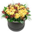 A contemporary round hatbox in deep charcoal black cradles a radiant bouquet of yellow roses and burgundy leucadendron, photographed against a pure white background that allows every detail to stand out clearly. The roses form a generous, dome-shaped cluster, their petals a rich, golden yellow that suggests late afternoon sunshine over North Watford rooftops. Each bloom is plush and full, with outer petals just beginning to curl back, creating a soft, cushiony texture you can almost feel. Threaded among the roses are stems of 'Safari Sunset' leucadendron, their long, tapered bracts shifting from dark, wine-red at the tips to more muted, earthy green near the base. These sculptural accents lend height, structure, and a touch of drama, like tiny flames flickering through a field of sunshine. Around the base of the blooms, broad, shiny green leaves provide a solid, supportive collar of foliage, while fine, feathery sprigs of lighter green foliage escape here and there, softening the edge and adding a hint of wildness. The hatbox itself has a smooth, matte surface, made more romantic by a slim band of white lace encircling the top rim, as if tying together vintage charm and modern design. It is easy to picture this arrangement on a coffee table near Cassiobury Park, the air carrying a gentle, sweet rose fragrance whenever someone walks past. Whether delivered as a birthday surprise, a get-well wish, or a simple thinking of you to a friend in North Watford, this design captures a feeling of warmth, care, and everyday luxury.