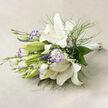 Presented on a warm, light beige fabric surface, this elegant bouquet balances pristine whites with soft, natural greenery in a composition that feels both modern and timeless. Dominating the arrangement are white lilies-some wide-open and luminous, their trumpet shapes revealing golden stamens and a few fine dark freckles inside the throats; others remain as green-tinged buds, promising new blooms. Interspersed among them are white lisianthus whose ruffled petals bear a faint lavender-purple border, a whisper of colour that brings movement and refined contrast to the predominantly white palette. Wisps of asparagus-like foliage add a feathered, floating quality, while larger glossy leaves give the bouquet structure and depth. Tiny sprays of baby's breath are woven throughout, softening edges and introducing an airy, cloud-like texture. The stems have been carefully gathered and bound with a crisp white satin ribbon toward the right, signalling a hand-tied finish suitable for holding or setting on a modest table. Gentle natural light, likely morning or late afternoon, creates subdued shadows across the linen and highlights the subtle sheen of petals and ribbon. The scent is imagined as mildly sweet and calming-an understated fragrance that complements the visual serenity. This arrangement would be fitting for a bride seeking quiet elegance, for an anniversary gift, or as an expression of sympathy delivered to a home near Watford High Street or by Cassiobury Park. Flower Delivery North Watford often prepares bouquets like this for local ceremonies and intimate celebrations, mindful of seasonal freshness and classic composition.