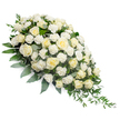 A refined and tranquil funeral spray dominates this image, arranged in a classic elongated teardrop form that stretches from a broad, lush head in the upper left to a delicate, trailing tail in the lower right, all resting on a completely white background. At first glance, the abundance of white and cream roses catches the eye, their rounded blooms tightly nestled together so they almost form a continuous river of petals. Some roses are small and closed, with smooth, tightly wrapped buds, while others are fully open, revealing soft, layered centres that look almost velvety to the touch. Tucked gently between them, clusters of white carnations bring a different texture; their finely frilled petals create a subtle, rippling effect that softens the edges of the composition and suggests gentle movement. The flowers are supported by a mix of foliage in complementary shades of green. Deeper, glossy leaves provide a firm foundation, while more muted, silvery eucalyptus leaves appear throughout the spray, offering a cool balance to the warm cream tones of the roses. From the pointed end of the arrangement, slender stems of ruscus and other trailing greens extend outwards, curving slightly as if bowing, which enhances the sense of grace and deference. The overall feel is serene and restrained, ideal for a funeral or memorial service in North Watford, perhaps resting beside a photograph or candle display. Though the background is plain, you can imagine this piece arriving fresh from a local workshop, carefully carried into a quiet chapel or crematorium as a tender gesture of sympathy and respect.