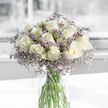 A graceful bouquet of creamy white roses and purple statice sits in a clear cylindrical glass vase on a bright, uncluttered white surface, illuminated by soft natural light that feels like a quiet afternoon in North Watford. The roses, around two dozen in total, are arranged in a gently domed cluster, each bloom carefully spaced so that their spiralling centres can be seen. Some petals are tightly wrapped, giving the buds a sculpted, almost porcelain quality, while others are more open and layered, their outer edges showing a very light green tint that hints at their freshness. Interlaced through the roses are numerous stems of statice, their small, papery flowers in tones of lavender and dusky purple creating a fine, airy veil that contrasts with the smooth rose petals. The glass vase is tall and simple, transparent enough that the viewer can clearly see the straight, bright green stems and the line where they disappear into clean, clear water, suggesting a bouquet prepared with care and precision. In the background, the scene falls out of focus into a blend of soft whites and pale greys, reminiscent of the calm interiors of homes off St Albans Road or near North Watford park, enhancing the sense of quiet. Gentle shadows pool on the tabletop, adding depth without disturbing the overall serenity. This arrangement carries a mood of tender remembrance and understated elegance, suited for sympathy flowers delivered to a family home, a chapel of rest, or a small memorial gathering, offering a visual expression of support and peace when words may feel inadequate.
