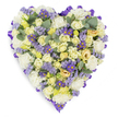 A densely packed heart-shaped floral tribute captured on a clean white studio background, the composition both intimate and formal. The outer edge is crisply finished with a continuous loop of rich purple satin ribbon, folded to create a neat, defined border that frames the blooms like a velvet picture frame. Inside that border, cream and pale yellow roses-many held as tight buds with others just beginning to unfurl-form the plush, tactile heart of the design; their velvety petals bring quiet warmth and a slow, luxurious texture. Intermingled with the roses are clusters of ruffled white carnations that read like soft clouds, adding classic volume and a familiar, comforting silhouette. Scattered thoughtfully through the mass are little sprigs of lavender-hued statice, their tiny clustered blooms giving air and a gentle papery contrast, while deeper purple, daisy-like asters with bright yellow centers punctuate the palette with vivid, hopeful flecks of colour. Rounded blue-green eucalyptus leaves sit throughout the arrangement, their cool, silvery tones and smooth edges breaking the floral density and suggesting a subtle, refreshing scent. The light is soft and even, revealing the sheen of satin, the matte velvet of petals, and the delicate shadows between flowers-an arrangement that speaks to remembrance, calm, and respect. This heart is composed with sympathy in mind, appropriate for funeral chapels near Cassiobury Park or quiet graveside services by Vicarage Road, offering a dignified expression of enduring affection and solace without excess ornamentation.