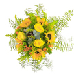 Bathed in natural daylight, this stunning North Watford bouquet radiates pure joy and cheerful energy, as if hand-gathered from a local garden at golden hour. Dominating the composition, plump yellow sunflowers face outward with openhearted exuberance, their dark, textured centres recalling the dramatic summers by Watford Junction. Golden yellow roses, tightly wound and silky to the touch, intermingle between the sunflowers, creating a harmonious palette of sunshine hues. Interspersed clusters of orange-red hypericum berries add vibrant surprise, while sprigs of bluish eucalyptus lend coolness and crisp freshness. The whole ensemble is wrapped in a delicate border of airy, feathery asparagus fern, framing the bouquet in light green movement, much like the playful drift of ferns in Woodside Park. Every flower and leaf is placed with intent, embodying care and artistry unique to North Watford's dedicated florists. The result is an arrangement that feels celebratory yet soothing-a perfect birthday gift, a spontaneous gesture of kindness, or a centrepiece for a cosy home. Undertones of earthy stem and sweet rose drift on the air, inviting comfort and smiles to any room across North Watford.