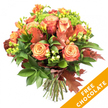 A hand-tied, autumn-inspired bouquet set against a crisp white backdrop, arranged to showcase layered textures and warm, seasonal colour. The composition is centred on large, fully opened roses that graduate from soft peach and apricot at their hearts to deeper coral and russet on the outer petals, each bloom like a small painted cup. Bright orange and golden-yellow freesia thread through the roses, their slender stems and delicate trumpet shapes lending lightness and a gentle perfume that suggests citrus and honey. Deep, glossy green foliage-broad leaves and feathery sprigs-forms a verdant cradle, contrasting the warmth of the petals and adding visual weight at the base. Rust-coloured oak leaves and a few deep red, lobed specimens are tucked in to evoke fallen leaves, while clusters of lime-green hypericum berries and small, tight heads of bright green Santini-like florets provide lively pops of color and tactile contrast. The stems are neatly trimmed and gathered at the base, bound with natural twine for a rustic finish that reads ready for a vase on an autumn table. Soft, even studio light sculpts the petals and casts faint shadows that accentuate each fold and ruffle, heightening the bouquet's intimate, cosy mood. A vivid diagonal orange banner with bold white lettering proclaiming FREE CHOCOLATE overlays the lower right corner of the image, signalling a seasonal promotion. This arrangement feels suited to Thanksgiving or a birthday and would bring the warm, textured essence of fall indoors, echoing the quiet change of season seen in local places like Cassiobury Park and nearby tree-lined streets in North Watford.