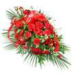 A large, single-ended red funeral spray is photographed on a pure white background, showing off its graceful, elongated outline and richly layered textures. The composition begins with a full, rounded centre where deep red roses, some in bud and some fully open, mingle with plush red carnations to create a velvety, textured cushion of colour. Here and there, striking red gerbera daisies break the surface, their broad, flat petals framing darker centres that draw the eye and give structure to the design. Small clusters of dainty white flowers, likely sprigs of baby's breath or tiny chrysanthemums, are woven between the larger blooms, catching the light as delicate highlights and softening the intensity of the red. The entire floral mass sits on a foundation of abundant greenery: long palm fronds sweep outward from the base and sides, giving the spray its defined, tapered shape, while darker, more compact leaves such as salal or ruscus fill in around the stems to ensure no gaps are visible. Finer, feathery foliage adds additional layers, creating a sense of depth and movement along the edges. Near the top of the arrangement, a prominent red satin ribbon is tied into a generous bow, its glossy loops and trailing tails threading gracefully through the flowers and echoing their rich hue. The spray looks like it has been carefully crafted to rest atop a casket or be placed as a main tribute at a service in North Watford, perhaps close to familiar landmarks or quiet residential streets, speaking powerfully of love, remembrance, and the dignity of a final farewell.