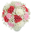 Softly embracing North Watford's gentle spirit, this bouquet glows with the serenity of a fresh spring morning. Layers of plush carnations-rich garnet red, gentle blush pink, and creamy white-nestle together in a lovingly crafted, nearly spherical bloom, each petal delicately ruffled and whispering tales of affection. Wisps of fine baby's breath drift through the arrangement, their feathery white clusters diffusing the brighter hues and imbuing the whole with an airy, dream-like quality. The transparent glass vase grounds the composition, its curved shape revealing the neat, green stems submerged in clear water, ensuring freshness as vibrant as the day's first light over Watford Heath. Captured from above against a crisp white setting, the bouquet's fullness and lively colours are amplified, inviting the senses to linger and the heart to quicken. This is more than a bouquet-it's an expression of tenderness and joy, perfect for birthdays, quiet congratulations, or marking treasured moments along the avenues of North Watford. With an inviting glow and tranquil charm, it offers a floral embrace that soothes, celebrates, and inspires.