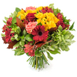 A hand-tied autumn bouquet captured against a clean white backdrop, dense and rounded with a harvest-warm palette that feels like a walk through Cassiobury Park on a crisp morning. The eye first rests on several deep crimson and burgundy gerbera daisies, their broad, velvety petals radiating from dark centers, and on tightly furled red roses whose layered petals read as classic and comforting. Sprigs of bright yellow spray chrysanthemums punctuate the composition like small suns, their multi-petaled heads adding cheerful texture among the deeper tones. Gentle coral-pink roses and soft peach-hued blooms ease the intensity, creating a whisper of softness amid the bolder florals. Slender alstroemeria in orange-red hues, often speckled or striped, introduce a lively, star-shaped detail that lifts the arrangement visually. The bouquet is richly framed by glossy dark green leaves, alongside lighter, variegated foliage that gives volume and a crisp tactile contrast. Strategically placed reddish-brown and bronze-toned oak- or maple-like leaves speak plainly of autumn, their lobed silhouettes adding a rustic, natural rhythm to the design. The stems are neatly gathered and visible as a fresh bundle of green stalks resting on the white surface, confirming the professional hand-tied construction. Under soft, natural light the petals seem to glow and the whole piece emits a subtle leafy scent, suggestive of seasonal gatherings, Thanksgiving, or a thoughtful gift to warm a neighbour's home in North Watford. This bouquet reads as both celebratory and consoling, a crafted expression of autumnal comfort and colour.