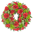 A richly detailed circular wreath, created as a sympathy tribute, is shown head-on against a pure white background, its colours and textures standing out crisply as though placed on a lighted stand in a North Watford funeral home. The wreath is dominated by deep red carnations, packed closely together so that their many ruffled, layered petals form a soft, almost cloud-like surface around the circle. Some blossoms are fully unfurled, revealing their intricate folds, while others are still in tighter, more rounded stages, adding a sense of gentle movement to the otherwise formal design. Nestled throughout this sea of red are bright lime green button chrysanthemums, small and perfectly round, their densely packed florets giving each bloom a smooth, cushiony appearance. The contrast between the velvety carnations and the neat, spherical mums creates a pleasing interplay of textures, and the lime colour lifts the composition from somber to quietly uplifting. Behind and between the blooms, an abundance of greenery provides structure: dark, feathery fern fronds create a deep green backdrop, while variegated pittosporum leaves with creamy, lighter margins add highlights and soften the outline of the wreath. Threaded in a few thoughtful loops is a striped green ribbon, echoing the foliage and subtly drawing the eye without overpowering the flowers. The overall effect is one of balance and calm, a wreath that families in North Watford might choose for a graveside farewell near Cassiobury or along the routes toward Watford town centre, expressing remembrance, respect, and a gentle comfort in times of grief.