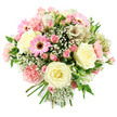 Photographed against a spotless white background, this round, hand-tied bouquet showcases a soothing blend of soft pinks, creams, and fresh green tones. At its core are several generous cream and ivory roses, fully opened so that each petal folds gracefully away from the centre, creating a plush, romantic focus. Around these sit delicate clusters of pink spray roses, their mixture of buds and small open blooms lending a lively, textured pattern to the design. Punctuating the arrangement are bright pink gerbera daisies, easily recognised by their radiating petals and deep, dark centres, which add a playful, modern edge. Fluffy pale pink carnations bring volume and a nostalgic softness, their many ruffled petals forming tiny waves across the bouquet. Threaded between the larger flowers are airy white alstroemeria blossoms, finely marked with reddish speckles inside their throats, which add an intricate, almost painterly detail. Wisps of baby's breath appear like small white clouds, filling any gaps and lightening the overall look. Fresh green leaves and stems peek out to frame the pastel blooms, offering contrast and a sense of just-picked vitality. The stems are gathered neatly at the bottom, clearly the work of a professional florist. The bouquet feels both elegant and comforting, the kind of arrangement someone in North Watford might send to a loved one in Meriden, North Oxhey, or along St Albans Road. It would be perfectly suited to mark an anniversary, send get-well wishes, celebrate a new arrival, or simply bring a little beauty and calm into a local home.