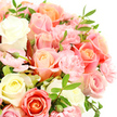 The image shows a beautifully composed bouquet photographed up close against a pure white background, allowing every bloom to stand out as if just arranged by an experienced florist in North Watford. Large, fully opened roses form the core of the design, their petals unfolding in soft spirals that reveal a palette of gentle, warm tones: creamy ivory and delicate off-white merge into pale yellow, blush pink, apricot-peach, and a soft coral-pink glow. Around and between these focal roses, smaller light-pink carnations cluster in frilly tufts, their intricately ruffled petals enhancing the bouquet's sense of richness and volume. Threaded through the flowers are sleek, pointed leaves in a deep, vivid green, adding definition and a refreshing contrast to the pastel shades. A few buds remain partially closed, with their outer petals still hugging the inner whorls, suggesting that the arrangement will continue to open and change over the coming days. The lighting is bright but gentle, with no harsh shadows, allowing every subtle shift of hue and texture to be seen clearly against the minimalist white setting. The overall feeling is soft, romantic, and soothing, like a quiet celebration shared in a living room near North Watford's St Albans Road or a calm moment of reflection overlooking nearby green spaces. This is the kind of bouquet that works effortlessly for birthdays, anniversaries, get-well wishes, or simply sending love, its gentle colours and natural fullness creating a sense of comfort and optimism that would be appreciated in any local home or office.
