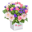 Brimming with colour and joyful character, this contemporary bouquet is a celebration of North Watford's blooming beauty. A polished white square container, both modern and understated, serves as the foundation for a lush cascade of blooms-mainly vibrant pink roses that range from fresh, tightly furled buds to lavish, open flowers with a soft, inviting fragrance. Interspersed among them are pastel pink gerbera daisies, their signature light centres shining with gentle warmth, invoking the feel of a sunny afternoon along St Albans Road. Tucked throughout, clusters of feathery deep purple limonium and statice lend texture and depth, their bluish undertones echoing the calming riverside scenery of the area. Fluffy white filler blooms, perhaps reminiscent of small chrysanthemums or spray carnations, add brightness and airiness, filling the bouquet with a sense of grace and generosity. Framing the flowers are glossy green leaves-each one thoughtfully placed to provide contrast and balance, much like the parklands that grace North Watford. The white container subtly features a small illustration, adding a whimsical touch that enhances the gift's personal feel without overshadowing the blooms themselves. Set against a white background, every detail and hue stands out, making this bouquet ideal for birthdays, get-well wishes, or simply sending a bright hello-each flower hand-selected by passionate local florists committed to North Watford's flourishing spirit.