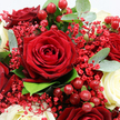 The photograph presents a lush, romantic bouquet in close focus, with a fully opened deep crimson rose commanding the centre, its velvety petals layered in a flawless, classic spiral that seems almost touchable. Surrounding this focal bloom are more dark red roses, some only partially visible, their rich tones building a sense of warmth and luxury. Offsetting the intensity of the reds, creamy white roses emerge at intervals, their smooth, gently curved petals adding a note of serenity and purity, like soft whispers among vibrant declarations of love. Fine sprays of tiny red Gypsophila flowers weave through the composition, their multitude of miniature blossoms creating a light, gauzy texture that softens the stronger shapes of the roses. Nestled within the petals and foliage, plump red Hypericum berries gleam with a subtle shine, as if they were small, polished beads carefully placed to catch the light and add playful detail. The bouquet is framed by fresh greenery, including rounded eucalyptus leaves with their muted, silvery-green cast and darker green leaves that lend structure and a natural, just-gathered feeling. The ambient light is gentle and flattering, enhancing the bouquet's rich colours and making it easy to imagine this arrangement gracing a table in a North Watford home near Garston or along North Western Avenue. It feels like the kind of bouquet chosen for a heartfelt moment-a surprise delivery to mark an anniversary, a romantic gesture on a quiet evening, or a centrepiece that turns an everyday meal into a cherished memory.