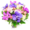 A lush, celebratory bouquet is shown against a brilliant white backdrop, the viewpoint slightly elevated so the entire hand-tied arrangement can be admired as if placed on a table in a North Watford living room. At the heart of the design are generous pink peonies, fully open and richly layered, their petals forming soft, ruffled spheres that convey warmth and romance. Threaded between them are bold Vanda orchids in deep purple and glowing fuchsia, each blossom featuring wide petals traced with intricate, mosaic-like veining that adds a sophisticated, almost artistic edge. Around these focal blooms, clusters of spray roses in blush pink and peachy tones mingle with creamy white roses, some still tight buds and others beginning to swirl open, creating a gentle gradient of colour and texture. Tiny, spiky white filler flowers, reminiscent of miniature chrysanthemums, sparkle between the larger blooms, lightening the composition and drawing the eye across the bouquet. A generous collar of glossy green foliage surrounds the flowers, with leaves of varying sizes and shapes giving the arrangement a verdant, garden-fresh feel, as if just gathered from a well-tended border near North Watford's quiet residential streets. The stems are cleanly cut and bound with a graceful purple ribbon and a touch of sheer mesh, signalling a professional finish and making the bouquet ready for gifting. The bright, even light heightens the vivid purples and fuchsias while keeping the pastels soft and soothing, creating an overall impression of joyful elegance, perfect for birthdays, graduations, or welcoming a new baby.