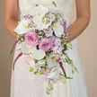 In this intimate, waist-up bridal portrait, a North Watford bride holds a luxurious cascading bouquet so close that you can almost feel the weight of the flowers resting in her hands. The background is intentionally blurred into warm, creamy neutrals, reminiscent of afternoon light filtering along St Albans Road, allowing the intricate florals to claim centre stage. Her gown, in white or ivory lace, shows delicate patterns on the sleeves and bodice, forming a romantic backdrop for the teardrop-shaped cascade. The bouquet itself is a lavish composition of white, blush, lavender, and striking fuchsia, expertly layered to create depth and flow. Dominating the design are pristine Phalaenopsis orchids, their wide, silky petals opening gracefully to reveal soft yellow-gold centres that seem to glow from within. Between these statement blooms, clusters of blush pink roses sit in full, rounded heads, their petals tightly nested and velvety, contributing a classic bridal softness. Pale lavender stock winds through the arrangement, its numerous petite blossoms giving an airy, cloud-like texture and a whisper of spring fragrance. Scattered sprigs of white baby's breath appear like tiny stars, lightening the overall palette and adding delicacy. Bold magenta trails, likely amaranthus, spill downward in fluid strands, accentuating the cascading line and guiding the eye to the tapered tip. At the base, smaller lavender flowers, slim green stems, and a few unopened orchid buds lend a sense of living freshness, as if the bouquet was just arranged by hand. The result is a bouquet that feels both grand and deeply personal, a refined piece of floral artistry ready to be carried down the aisle in North Watford's churches and wedding venues.