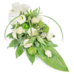 A long, gently cascading funeral spray rendered in a quiet palette of creamy whites and fresh, verdant greens, photographed against a clean white backdrop under soft, even light. The composition is classic teardrop in profile: several creamy white roses sit at the heart, shown in stages from tight bud to fully opened blooms whose velvety petals curl in soft spirals. Two sculptural white Calla lilies rise with smooth, trumpet-like forms, lending modern simplicity and a pale, almost marble-like sheen. Scattered like small green jewels are lime-hued button chrysanthemums, their compact, spherical texture creating lively contrast against the roses' rounded softness. Tiny clusters of white baby's breath (Gypsophila) float between the main blossoms, giving an ethereal, cloud-like veil that softens edges and invites a gentle breath. The foliage is deliberately varied and tactile: deep glossy leaves build a dense, supportive base; paler, variegated leaves with crisp white streaks add brightness and layered depth; feathery fern fronds crown the top with woodland freshness. Long, arching blades of bright green foliage sweep over the sides with graceful motion, while the arrangement tapers to a smooth, broad tropical leaf that forms a clean, pointed tail. A cream, textured fabric bow nestles at the upper left, its matte ribbon adding a comforting, formal accent. The overall scent is faintly floral and green - a soft rose perfume with herbaceous undercurrents - and the visual effect is one of dignity and calm. This piece reads as a respectful sympathy tribute, designed to offer solace and quiet remembrance at services and memorials across North Watford and nearby chapels.