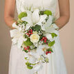 In this intimate bridal close-up, a bride stands in her off-white lace wedding gown, holding a dramatic cascading bouquet that seems to flow like a teardrop of light against the fabric. The upper portion of the bouquet is anchored by large white oriental lilies, their satin-smooth petals unfolding with confident grace, each bloom marked by delicate russet speckles and clearly defined stamens that suggest a soft, powdery fragrance. Tucked among them, a single central ivory rose unfurls in perfect symmetry, evoking quiet devotion with its creamy, candle-lit tone. Around these hero flowers, clouds of tiny white gypsophila create a hazy, romantic veil, filling every gap with gentle softness. From the centre, long stems of white Phalaenopsis orchids cascade downward, each bloom broad and polished, with a subtle pearlescent glow that catches the natural light, as if mirrored in a nearby North Watford church window. Breaking the white palette, vivid lime-green cushions of Green Trick dianthus add a whimsical, tactile element, their fuzzy, round forms nestled like little moss pillows. Scattered here and there, glossy red hypericum berries offer charming sparks of colour, reminiscent of berries found along the paths near Garston or along the A412. Slender strands of wispy greenery and darker leaves thread through the composition, adding structure and depth while keeping the bouquet light and flowing. The overall impression is one of refined elegance and fresh joy, a handcrafted wedding bouquet that feels at once classic and modern, beautifully suited to brides marrying in North Watford and the surrounding Hertfordshire countryside.