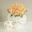 A lush, rounded floral centerpiece sits on a bright white table, its gentle glow reminiscent of a calm afternoon in North Watford. At the heart of the design, roughly two dozen peach and apricot roses are packed closely together in a graceful dome, their petals spiralling from deeper, almost golden orange centers to softer, creamy edges. The blooms appear freshly opened, as if they were just conditioned by an experienced florist, each head facing slightly outward so the entire bouquet feels generous and welcoming. Threaded delicately between the roses are wisps of white baby's breath, their tiny, cloud-like blossoms softening the dome and adding a light, airy haze that contrasts with the velvety rose petals. A few hints of deep green foliage peek from beneath, grounding the arrangement in natural texture without stealing the focus from the warm peach tones. The bouquet is cradled in a striking spherical vase made from tightly woven white string or fine wire, its open lattice design forming a modern orb that lets light pass through, creating gentle shadows on the table below. In front and slightly to the side of the vase rest two smaller decorative white spheres: one with a neat, soccer-ball-style pattern, the other more abstract and irregular, both echoing the same string-like material. Behind the display, a soft light grey or beige wall provides a calm, uncluttered backdrop, allowing the flowers and intricate textures to stand out. The whole scene has the feel of a thoughtfully styled centerpiece for a wedding in a North Watford venue or a refined dinner party near Cassiobury Park, perfectly suited to convey quiet celebration and understated elegance.