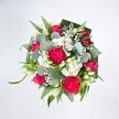 From a bird's-eye view, a full, rounded bouquet in vivid hot pink, crisp white, and layered greens rests against a pure white background, every stem clearly defined as if laid out on a florist's bench in North Watford. At the heart of the design, large, ruffled hot pink carnations billow with densely packed petals, their frilled edges catching the light and giving the arrangement a plush, almost velvety texture. Nestled beside them are deep pink and fuchsia roses, some fully spiralled open to reveal their romantic centres, others still in tight buds that hint at blossoms yet to unfold, like a celebration about to begin on a quiet Watford side street. Threaded throughout, tiny white spray chrysanthemums and daisy-like blooms form soft, cushiony clusters, while airy sprigs of white baby's breath drift between them like delicate clouds. Slender white buds, likely alstroemeria or another lily-like flower, stretch upward, adding a note of poised elegance. Around this floral core, rich greenery forms a generous, structured collar: broad, darker leaves-possibly carefully folded aspidistra-curve protectively around the base, while vivid, long green blades add energy and movement. Scattered among them, rounded, silvery eucalyptus leaves introduce a cool, calming tone and a smooth, slightly waxy texture that contrasts with the fluff of the carnations. The lighting is bright and even, enhancing the clarity of every petal and leaf, and the overall effect is joyful yet composed, like a bouquet ready to be delivered to a home near Cassiobury Park to mark a birthday, a graduation, or a simple but heartfelt thinking of you. This arrangement feels both festive and comforting, perfectly suited to lifting spirits and sharing affection across North Watford.