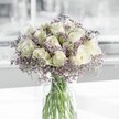 A serene white and lavender bouquet rests in a clear cylindrical glass vase, its reflection catching the soft, filtered daylight much like a quiet morning in a North Watford kitchen. At the heart of the arrangement, creamy white roses unfold in perfect spirals, each velvety petal curving gently outward as if lit from within. Their tone is a warm, ivory white rather than stark, giving the flowers a calm, soothing presence. Threaded between and around the roses is a haze of lilac-tinted limonium, often known as sea lavender, creating an airy, cloud-like halo that softens every edge. The tiny lavender blossoms form a delicate mist of colour, their fine stems and clustered florets adding a feathery texture that contrasts beautifully with the solid, sculptural roses. The glass vase is simple and modern, with straight sides that reveal the cool, green stems gathered neatly in clear water, suggesting freshness and careful conditioning by an experienced local florist. Light seems to fall gently from one side, casting subtle shadows and highlighting the natural curves of each bloom, giving the whole display an almost ethereal glow. The overall mood is tranquil and reflective, ideal for a sympathy gesture, a thoughtful get-well gift, or a peaceful focal point on a side table in a Watford Junction flat or a home near Cassiobury Park. You can almost sense a faint blend of clean, herbal notes from the limonium and a soft, classic rose fragrance, combining to evoke a feeling of hope, new beginnings, and quiet grace in any North Watford setting.