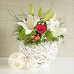 An artfully composed wedding arrangement rests in a sculpted white basket, its hand-woven texture echoing the calm, residential charm of North Watford's tree-lined streets. At the heart of the design, stately white lilies rise in gentle tiers, a few buds still tightly wrapped while others unfold broad, satin-like petals that release a light, uplifting fragrance. Cradled beneath them are lush red roses, their velvety blooms ranging from just-opening spirals to fully expanded cups, evoking a sense of deep love and commitment. Soft mounds of bright green dianthus nestle between the larger flowers, resembling miniature moss gardens that lend a fresh, contemporary twist. Red hypericum berries peek through the foliage, round and lustrous, adding subtle splashes of colour and playful texture. Wisps of gypsophila, with their tiny cloud-like white blossoms, create a veil of softness around the bolder forms. Fine greenery trails and curves at the edges of the basket, softening its clean lines and offering a relaxed, garden-inspired feel. Gentle daylight seems to skim over the petals and leaves, highlighting the contrast between smooth lily petals, plush rose heads, and the slightly rough weave of the basket. The overall mood is serene yet celebratory, perfectly suited for a registry office ceremony near the heart of North Watford, a reception at a local venue, or as a refined gift delivered across the area to convey admiration, sympathy, or congratulations when words alone feel too small.