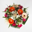 Beneath the gentle northern light of Watford, a bouquet unfolds like a festive gathering, each bloom thoughtfully arranged to capture both joy and sophistication. Orange Gerbera daisies, bold and cheerful, surge to the forefront, their energy reminiscent of sunny afternoons at Callowland Park. Soft, creamy peach Gerberas lend a silky warmth, offset by their richer, darker centers-a subtle nod to Watford's blend of tradition and modern flair. Shimmering springs of fuchsia-pink and deep burgundy roses, their petals tightly layered, provide romance, while a refined light gold rose cozies into the bouquet's middle, radiating comfort. Ruffled hot pink carnations contribute playful texture and spark, and clusters of bright white spray chrysanthemums illuminate the mix with pure, gentle highlights. Rising amongst them, slender white lily buds add an air of refinement and anticipation for what's yet to blossom. The arrangement is rounded off with cascading greenery: elongated dark green leaves, robust gleaming greens forming a structured border, and sprigs of eucalyptus-like silver foliage for freshness. Altogether, this North Watford bouquet feels like a heartfelt embrace-ideal for birthdays, thank-yous, or simply brightening a home. Its scent gently floats in the air, carrying a promise of shared memories and the signature care of local florists known for bringing beauty to every doorstep.