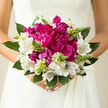 In this image, a hand-tied bridal bouquet rests securely in a bride's clasped hands, its colours and textures echoing the gentle romance of a North Watford afternoon. At the centre, a generous cluster of magenta peonies forms a plush, rounded heart, each bloom a swirl of ruffled petals that appear almost cloud-like in their softness. Their rich, saturated hue offers depth and drama without ever feeling overpowering, instead creating a warm focal point that seems to glow from within. Surrounding the peonies, white alstroemeria stretch their long, narrow petals outward, their surfaces marked with fine burgundy streaks that look like careful strokes of ink, adding quiet detail and artistry. Between these flowers, slender stems of pale green buds rise like tiny spires, some just beginning to open, suggesting fresh growth and the promise of days to come. A collar of broad, glossy green leaves holds everything together, giving shape and support to the bouquet while introducing a cool, natural contrast to the pink and white blooms. The light in the photograph is soft and natural, as though filtering in from a nearby window in a North Watford townhouse, catching the curves of each petal and the gentle shine of each leaf. You can almost sense the fragrance-subtle, leafy, and slightly sweet-evoking freshly arranged flowers on a table near Garston Park. The composition feels both deliberate and relaxed, like a bouquet chosen by someone who cherishes elegance but values sincerity above all. It looks perfectly suited to a wedding ceremony at a local church or a registry office celebration, the kind of bouquet that will be remembered long after the last petal falls.
