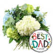 A charming Father's Day gift arrangement is shown against a spotless white backdrop, highlighting both the softness of the flowers and the playful character of the balloon. At the centre of the composition, a full, rounded bouquet of hydrangeas takes pride of place, its many clustered blooms creating a generous, textured mass of colour. Creamy white hydrangea heads form the main focal point, their small, overlapping petals appearing plush and cushiony. Intermingled among them are light blue hydrangeas, drifting towards the left and upper right, lending a cool, calming presence that feels as peaceful as a quiet walk through North Watford's leafy streets. Punctuating the design, lime-green hydrangeas gather at the lower left and right, bringing a zesty, refreshing brightness that suggests new beginnings and fresh appreciation. Between the larger flower heads, silvery-green eucalyptus and darker green foliage weave through, adding depth, dimension, and a subtle hint of herbal fragrance. The stems of the bouquet are neatly gathered at the base, straight and uniform, reflecting the care and skill of an experienced local florist. Overlapping the bouquet on the lower right, a glossy, round foil balloon adds a burst of celebratory energy. Its central white area is framed by bold black-and-white striped borders, and it carries the joyful message, For the BEST DAD EVER! in a combination of colourful, patterned letters and simple black text. Stars in yellow, red, teal and black, along with tiny confetti-like dots, scatter across the balloon's surface. Together, the refined hydrangea bouquet and the fun, graphic balloon perfectly express gratitude and joy for a special dad in North Watford, ideal for Father's Day, birthdays, or simply saying thank you.