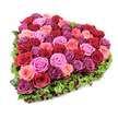A lush, heart-shaped tribute composed of tightly packed roses rests against a clean white backdrop, photographed from a slightly elevated angle so the dense form and layered textures read clearly. The core is an abundant mosaic of garden roses in deep crimson and burgundy, threaded with softer blush and pastel pink blooms and sparking notes of vivid fuchsia and purplish-magenta-each rose sitting at the peak of freshness, some with petals gently unfurling, others still tightly furled, together creating a tactile, velvety surface. Encircling the floral heart is a neat fringe of fine, deep green foliage-textured leaves that define the silhouette and give the composition a living frame; tiny dark-red berries or small burgundy sprays are tucked into the green edge, adding shadowed points of contrast and a whisper of woodland detail. The bright, even lighting reveals the minute veins on petals and the subtle sheen where morning dew would catch, while the pure white background makes the colours sing with emotional clarity. The scent is suggested in the image by the plump, velvety blooms-a comforting, classic rose fragrance that would fill a small room, appropriate for romantic gestures, anniversaries, or as a gentle memorial piece. As a florist who knows North Watford, I imagine this arrangement carried gently through streets near Cassiobury Park or placed on a mantel for remembrance; the design balances bold devotion and soft consolation in equal measure. The overall effect is elegant, expertly crafted, and deeply expressive-a heart that reads as both a declaration of love and a quiet, sincere tribute.