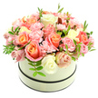 A lush, domed bouquet spills generously from a round, cream-coloured hatbox set against a bright white backdrop, every detail arranged as if by a careful hand. The box has a sturdy, matte finish and two slender dark bands-one circling the top rim and another near the base-that frame the composition and lend a quietly modern contrast to the soft palette. The arrangement is tightly packed with velvety roses in varying stages of bloom: warm coral-peach and apricot tones soften toward the petal edges into blush pink and creamy ivory, creating subtle gradients that catch the light. Between these larger blooms nestle clusters of ruffled, baby-pink carnations whose frilly edges add gentle texture and depth. Scattered sparingly throughout are small sprigs of fresh green foliage with elongated leaves that brighten the composition and suggest the scent of a morning garden. Soft, natural illumination-like early sunlight through a shop window on Clarendon Road or near Cassiobury Park-accentuates the petals' velvety sheen and the artisan's tight, domed silhouette. The overall impression is refined warmth: a bouquet that reads as both luxurious and intimate, ideal for birthdays, anniversaries, or to lift someone's spirits. The craftsmanship is evident in the balance of colour and form, the careful placement of every bloom, and the way the neutral hatbox gently recedes so the flowers themselves become the focal point. Designed to be seen up close and appreciated by touch and scent, this arrangement carries the quiet promise of thoughtfulness and fresh floral beauty in North Watford.