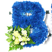 The photograph presents a striking floral arrangement in the unmistakable shape of a capital letter B, the kind of bespoke tribute a family in North Watford might select to commemorate a loved one whose name begins with that letter. The body of the B is completely filled with royal blue chrysanthemums, their petals densely layered so the surface appears lush and velvety. The blue blooms are uniform yet not flat; tiny differences in shade and petal direction create a living texture that softly catches the light. Encircling the letter and tracing its inner contours, a frilled white satin ribbon gives definition and a sense of refinement, like a soft border framing a piece of art. Attached at the lower left curve of the B is a smaller, complementary bouquet composed of creamy white roses and dainty white spray chrysanthemums. Some roses are tight buds, others partially open, revealing their spiral centres, while the mini chrysanthemums introduce a spray of little daisy-like heads. Surrounding these are generous sprigs of greenery, including airy ferns and broader leaves that provide shape and freshness. The juxtaposition of deep blue, clean white, and lush green creates a calm, respectful palette, suitable for display in a local church or crematorium. The arrangement suggests both strength and tenderness, making it ideal as a floral letter for a funeral, memorial, or even a poignant tribute at a celebration of life gathering within the North Watford community.