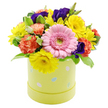 A festive spring hatbox arrangement is shown in full detail against a spotless white backdrop, its colours and textures combining to create a joyful Easter mood that would feel right at home in any North Watford living room. The flowers are massed into a generous, dome-shaped cluster that spills over the rim of a pastel lime-yellow cylindrical box, giving the piece a soft, rounded silhouette. At the heart of the design sits a large, blush-pink Gerbera daisy, every slender petal neatly arranged around a pale green centre that draws the gaze immediately. Radiating out from this focal bloom are lively yellow chrysanthemums and other daisy-styled flowers, their many fine petals creating a halo of sunshine-like colour. Woven between the yellows are frilled coral-orange carnations, which contribute a velvety, layered texture and a cosy warmth, while deep violet-purple lisianthus blooms add an elegant, slightly mysterious depth to the overall palette. The arrangement is laced with fresh green foliage, including a few softly variegated leaves whose lighter margins lend extra dimension and freshness, reminiscent of newly unfurling spring growth in local parks. The hatbox container is a soft pastel yellow-green shade, its sides playfully decorated with small Easter egg motifs in muted blue, pink, and white, some carrying gentle dots or stripes that suggest hand-painted detail. The combination of colours and shapes gives the impression of a light, sweet fragrance and a sense of celebration, making this design an ideal Easter centrepiece or seasonal gift to be delivered as a bright surprise to friends and family around North Watford.