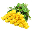A striking yet gentle arrangement of about 24 yellow roses is displayed in a studio-style photograph, set against a flawless white background that highlights every curve and contour of the blooms. The roses form a loose fan, with their blossoms concentrated in the centre of the frame and their slender, freshly cut stems extending outwards to one side in a natural sweep. Each flower is unique in its stage of opening: some are still tightly held buds, while others have begun to unfurl their layered petals, forming cups and rosettes in rich shades of sunshine yellow. The petals appear velvety and soft, with delicate edges that curl slightly, as though just brushed by a breeze. Around the flowers, glossy dark green leaves with paler undersides provide a lush contrast, their shapes overlapping to create depth and a sense of abundance without feeling crowded. The lighting is clean and even, eliminating harsh shadows and letting the brightness of the roses stand out against the calm white space. In spite of their cheerful colour, the gentle, composed layout of the bouquet makes it suitable for a sympathy arrangement, offering comfort and a reminder of cherished memories. Imagined in the context of North Watford, it feels like a bouquet crafted by an experienced local florist, perhaps at Flower Delivery North Watford, prepared for delivery to a quiet home or funeral service along St Albans Road. The overall impression is one of fresh, tender beauty bringing a soft, hopeful light to moments of loss.